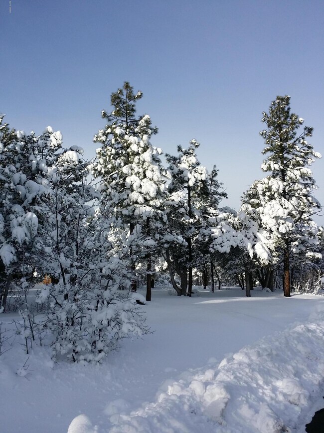 Snow at Torreon