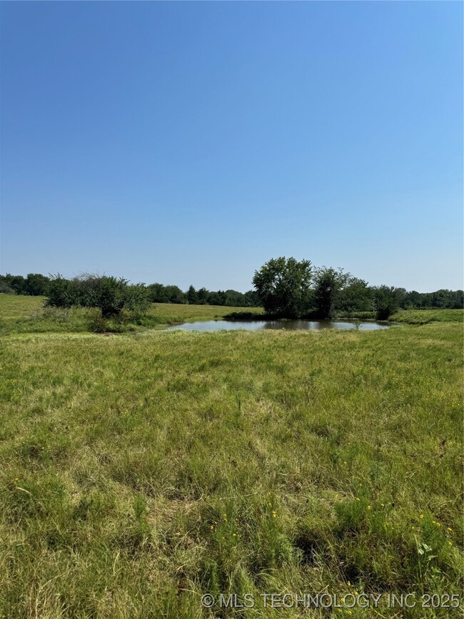 20253 Bales Rd, Madill, OK 73446 - photo 7
