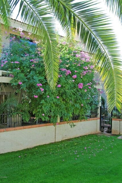 Exterior shot of covered patio