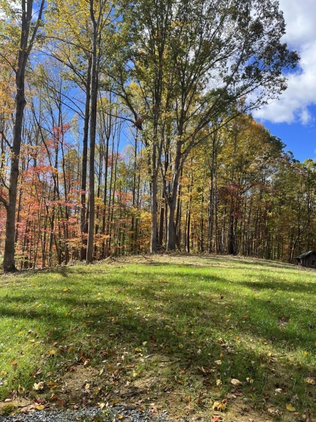 0 Little Catawba Creek Rd, Amsterdam, VA 24175 - photo 6