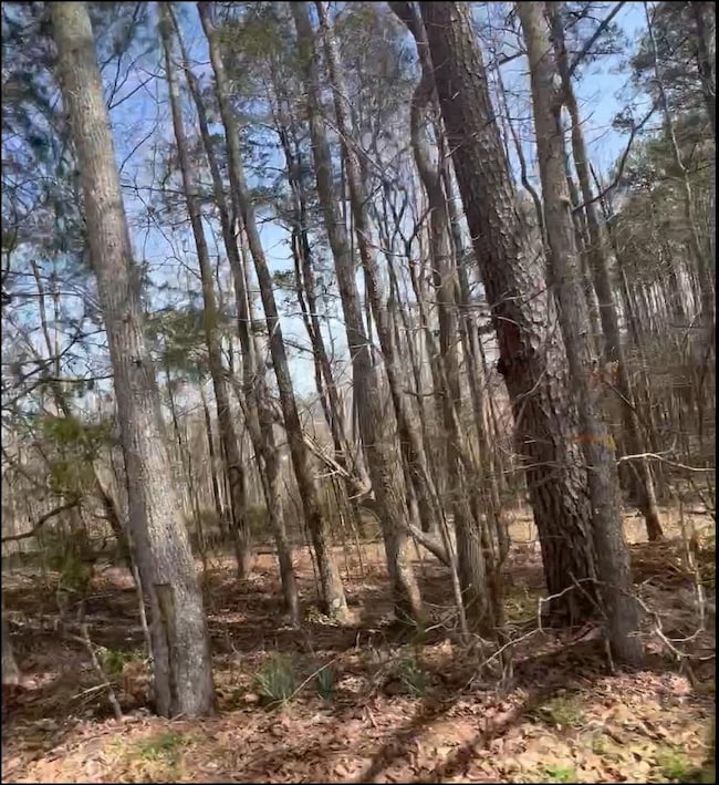 View of undeveloped land