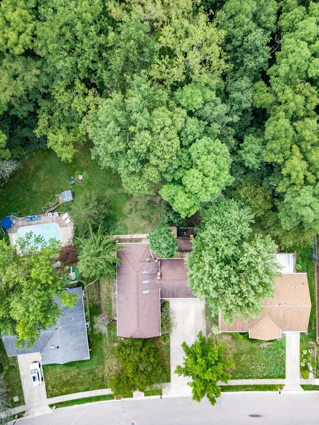 DJI_0009