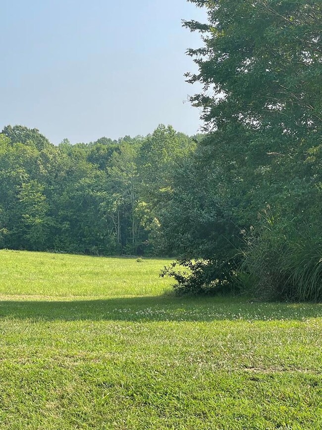 0 Wellspring Ln, South Boston, VA 24592 - photo 5