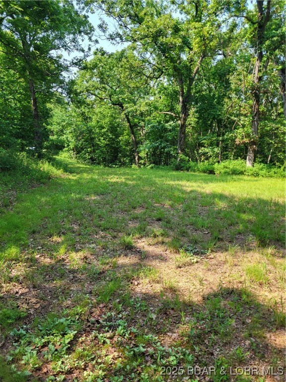 Road into property