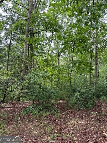 0 Seneca Dr unit 10497887, Ellijay, GA 30540 - photo 5