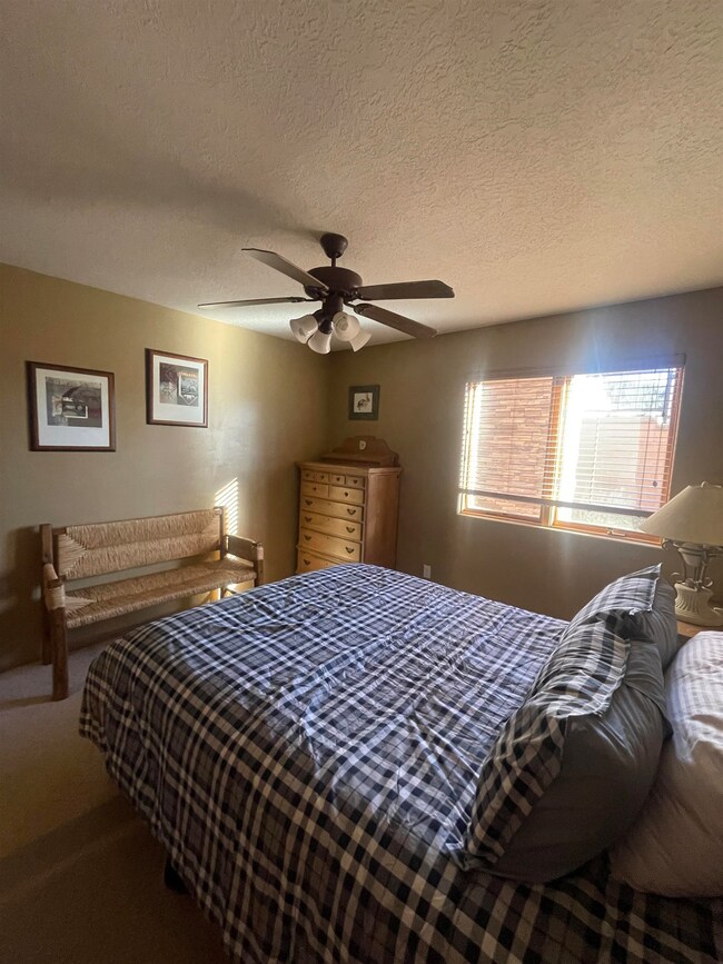 17 Winterpark Lane C unit C, Angel Fire, NM 87710 - photo 7
