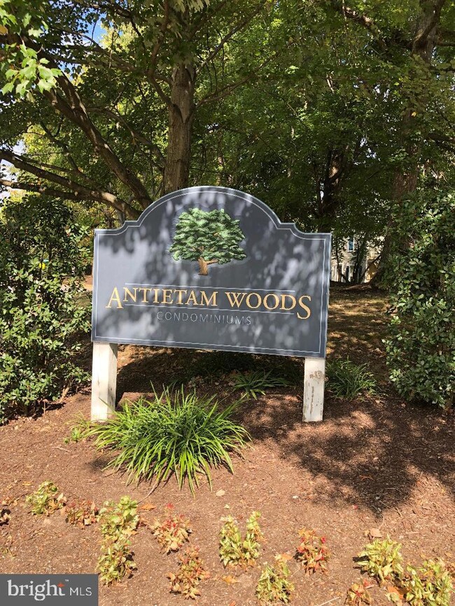 2899 Madeira Ct unit 10, Woodbridge, VA 22192 - photo 3