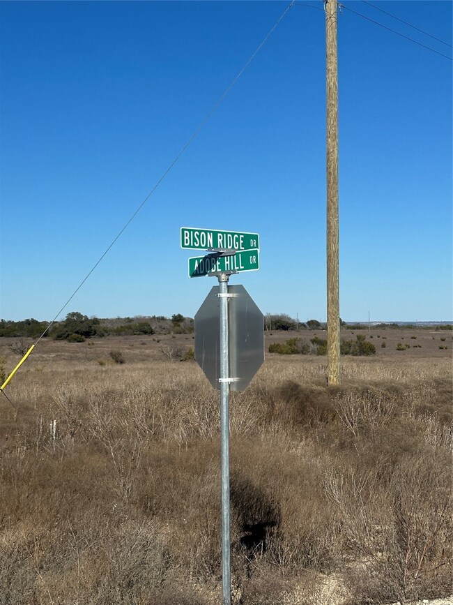 TBD Adobe Dr unit 78, Stephenville, TX 76401 - photo 3