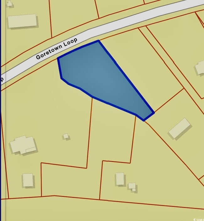 Lot 1 Goretown Loop, Loris, SC 29569 - photo 2