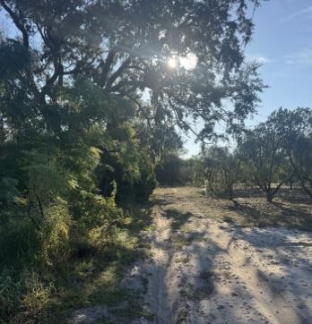 0 S Lake Patrick Rd unit 25664210, Frostproof, FL 33843 - photo 2