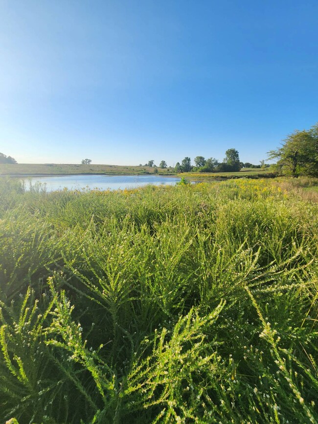 5700 SW Mirabile Dr, Polo, MO 64671 - photo 7