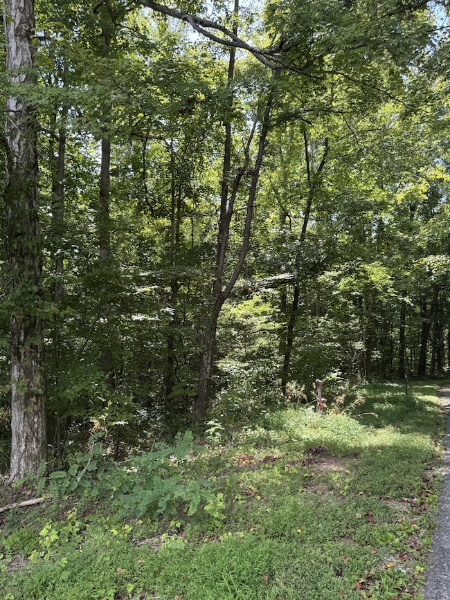 0 Albert Fentress Rd unit RTC2906900, Greenbrier, TN 37172 - photo 2