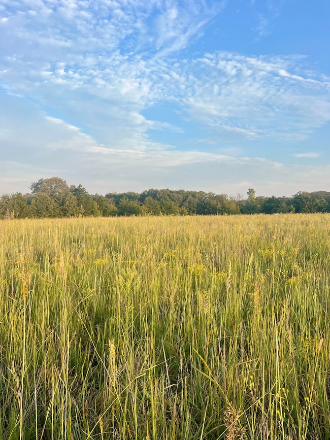 0 Mary Niblack Rd unit 25102336, Ardmore, OK 73401 - photo 7