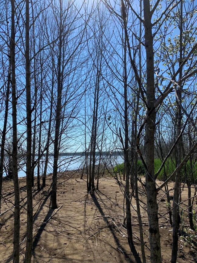 0 W Epoufette Bay Rd unit 7.6 Acres 201816422, Epoufette, MI 49762 - photo 3