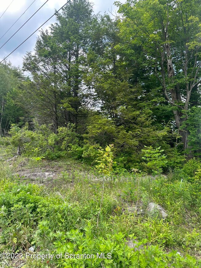 0 Yostville Rd unit GSB232457, Covington Township, PA 18444 - photo 3