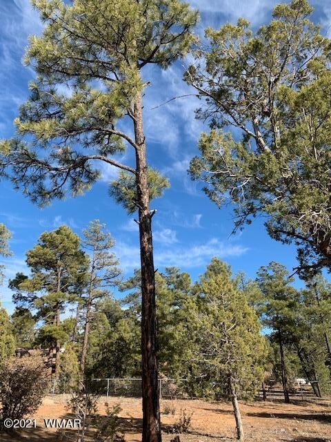 0 N Canyon Loop unit 234032, Show Low, AZ 85901 - photo 4