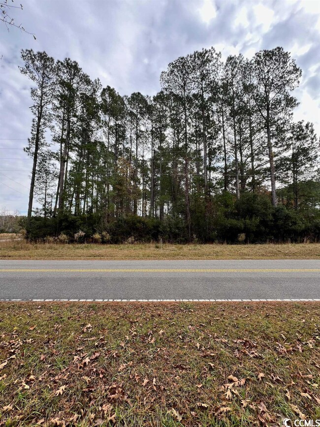 Lot 19 Alligator Ct, Conway, SC 29526 - photo 7