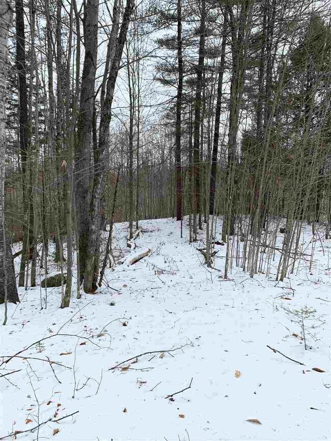 Lot 2 Cheever Rd, Wentworth, NH 03282 - photo 5
