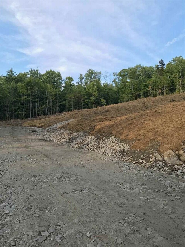 0 N Groton unit 4629930, Groton, NH 03266 - photo 3