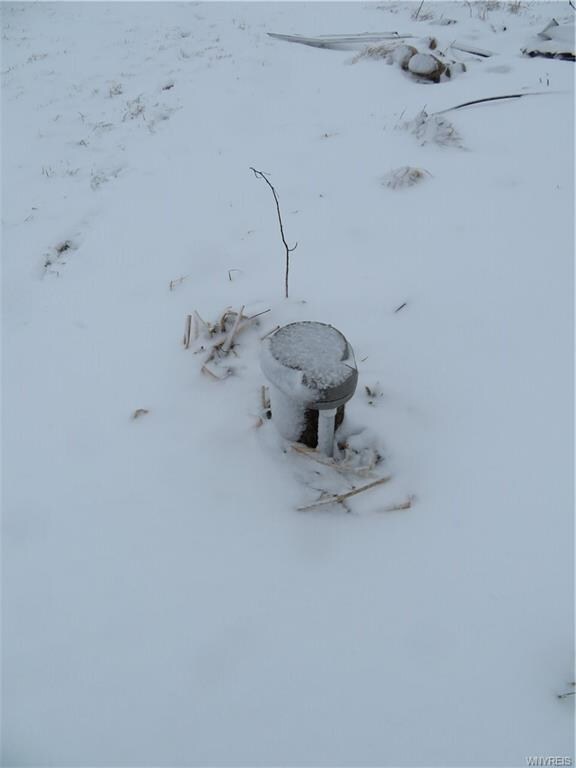 11686 North Rd, Freedom, NY 14065 - photo 4