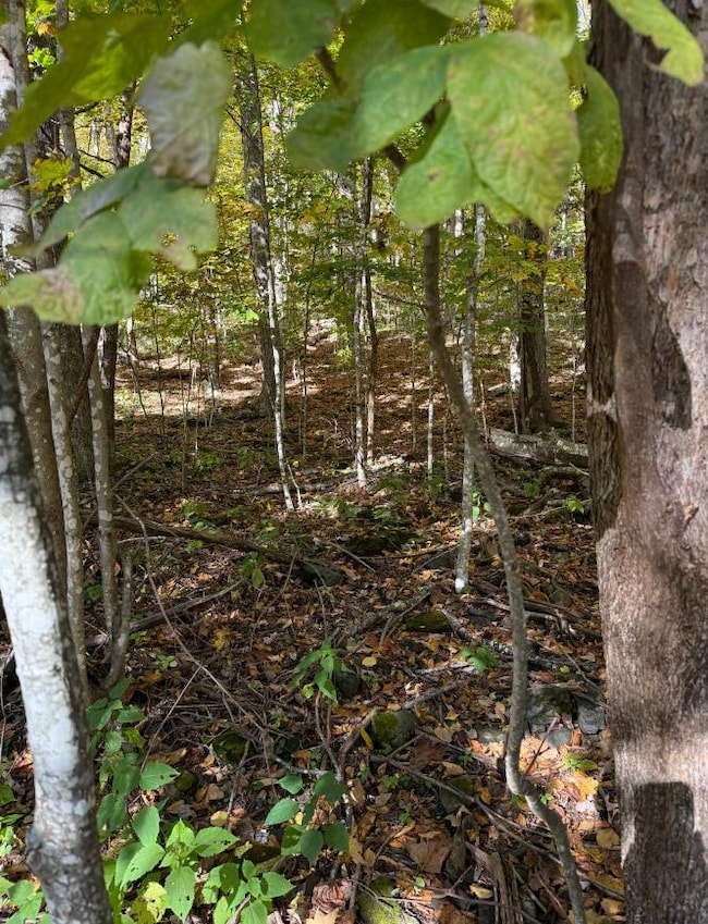 0 Lauren Ln unit 24422390, West Jefferson, NC 28694 - photo 3