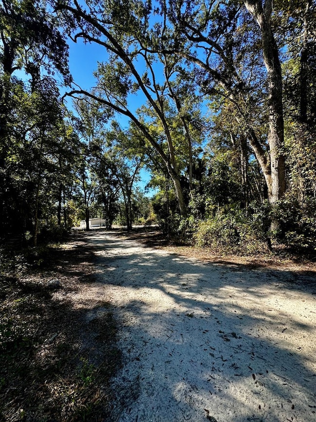 165 NE 368th Ave, Old Town, FL 32680 - photo 2