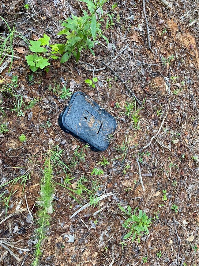 TBD County Road 415, Oxford, MS 38655 - photo 6