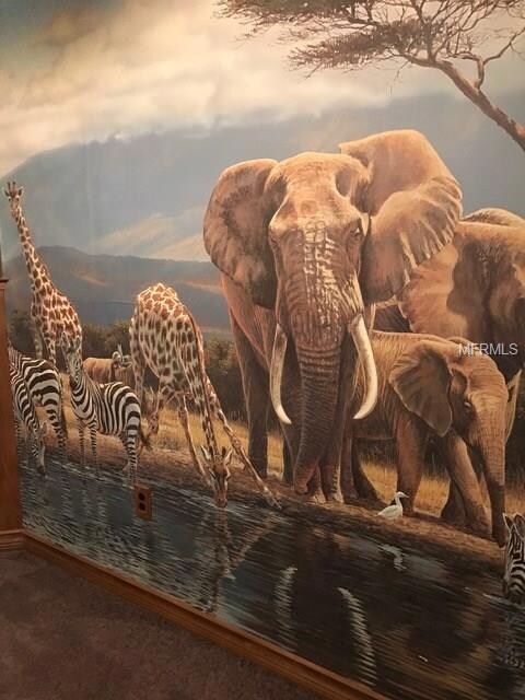 1523 Vernon Ct, Brandon, FL 33511 - photo 2