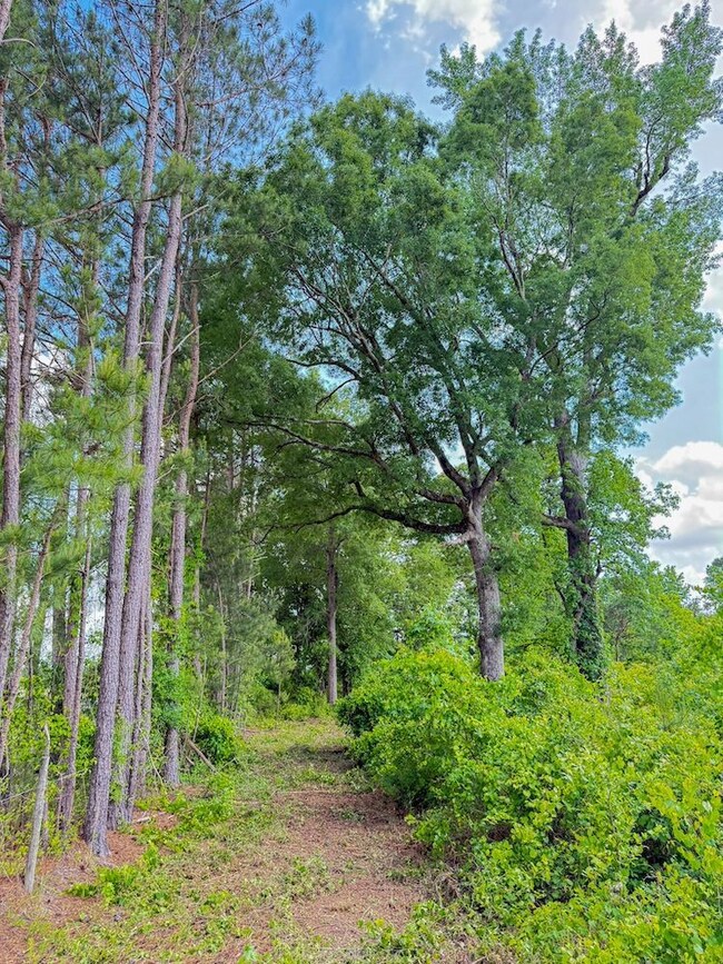 0 Tbd Sandhill Rd unit LotWP002 23456478, Marion, SC 29571 - photo 7