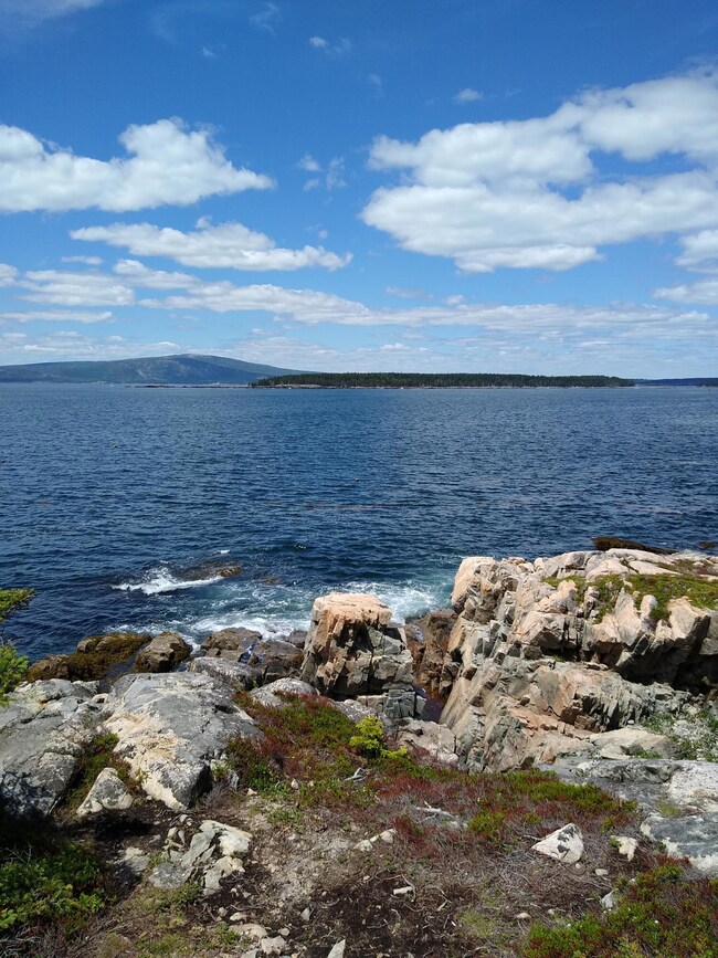 The Island view