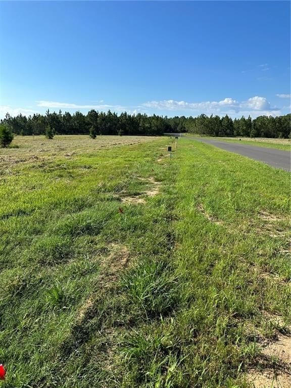 0 Hampton Rd unit 24516393, Mobile, AL 36608 - photo 5