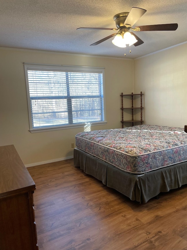 131 Freedom Hills Rd, Red Bay, AL 35582 - photo 5