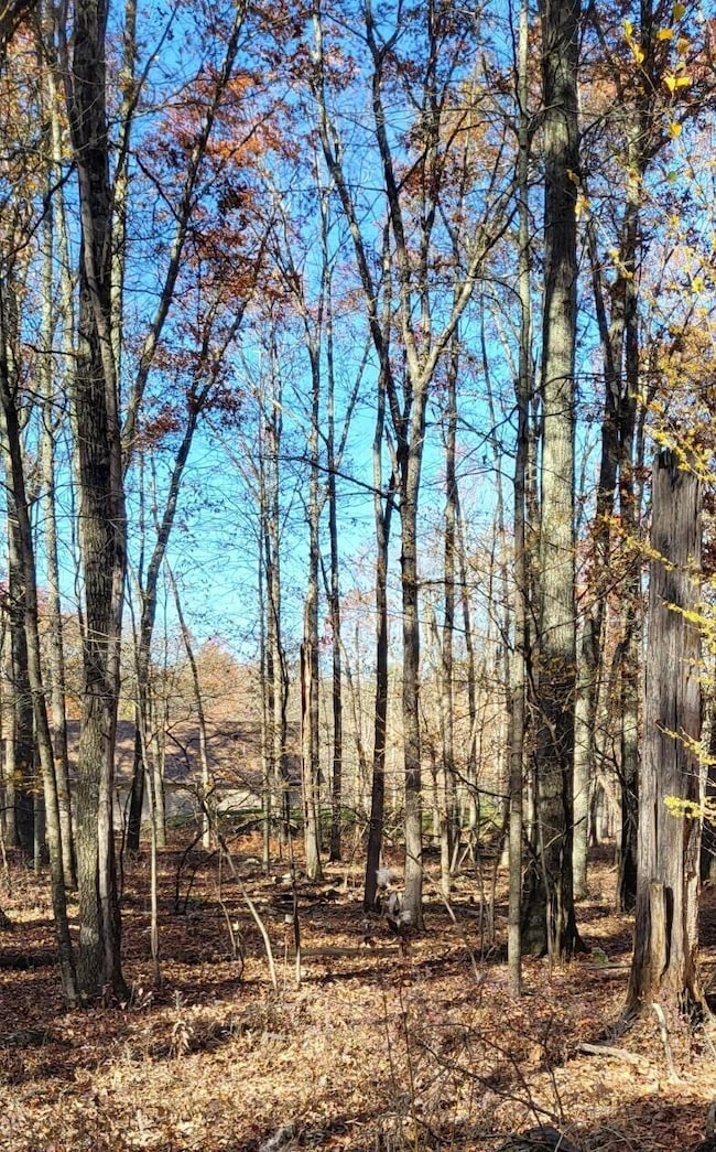 0 unit PM-120879, East Stroudsburg, PA 18202 - photo 2