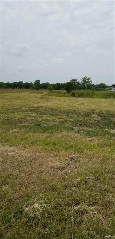 000 Stites Rd, Donna, TX 78537 - photo 2