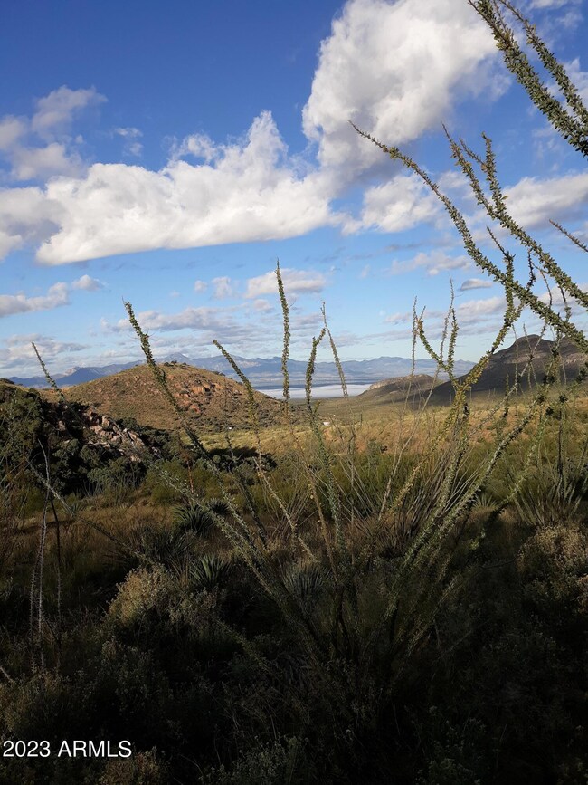 127 N Lupine Rd unit 23, Bisbee, AZ 85603 - photo 4