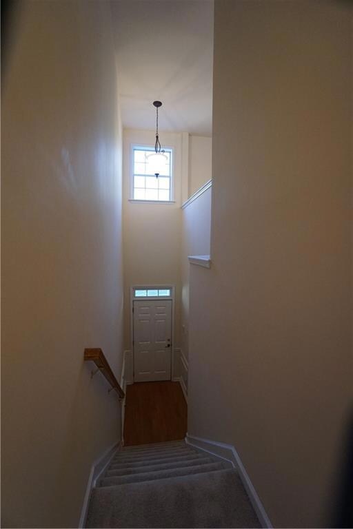 Stairs featuring baseboards and carpet