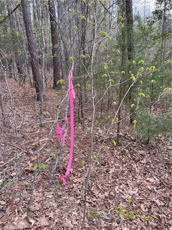 0 Briles Dr, Asheboro, NC 27205 - photo 7