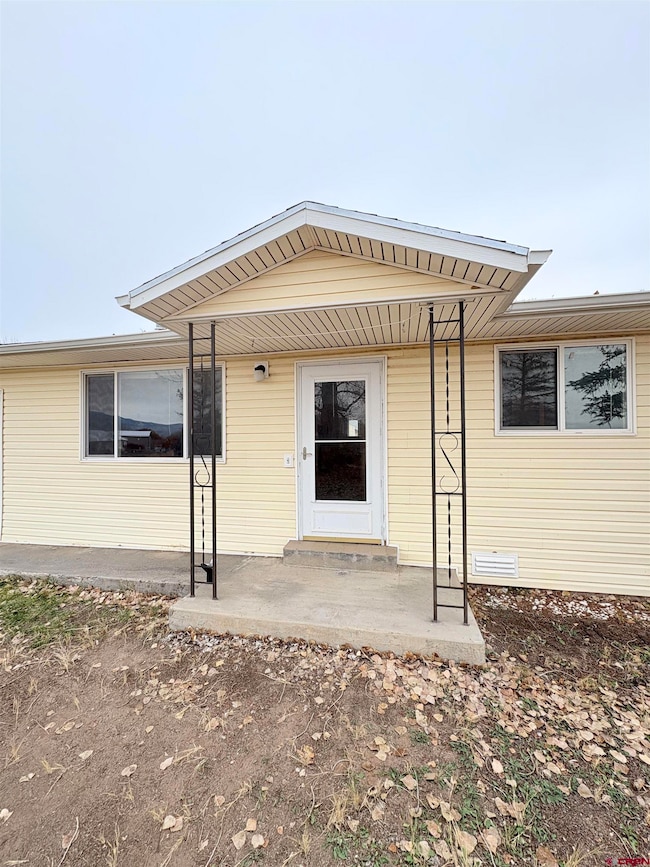 10728 Mesa View Dr, Austin, CO 81410 - photo 4