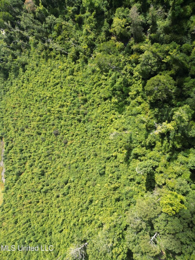 00 Johns Shiloh Rd, Brandon, MS 39042 - photo 6