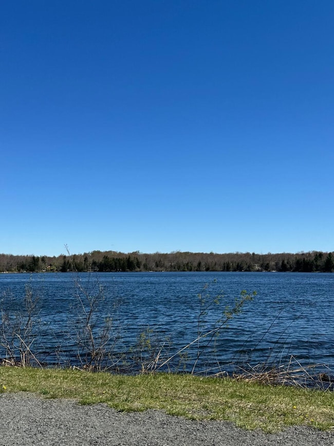 211 Alter Ave, Pocono Summit, PA 18346 - photo 3