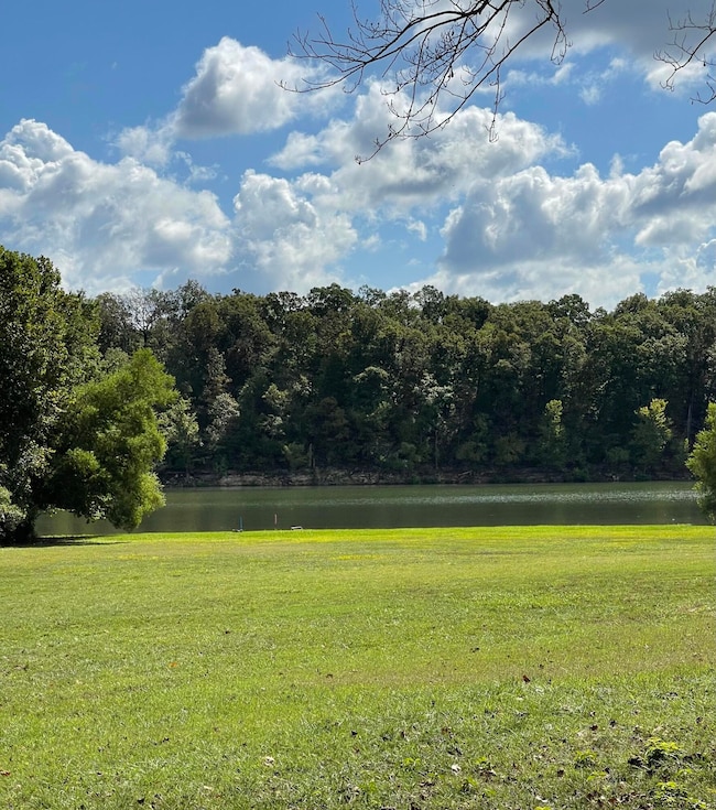 441 Cane Cove Rd, Cape Fair, MO 65624 - photo 2