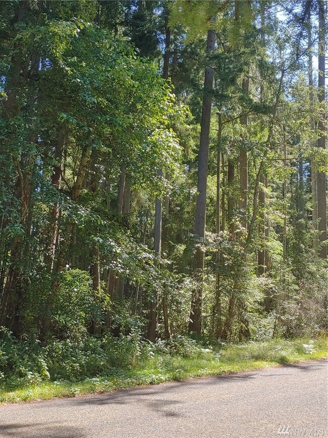 10416 Matthews Way, Anderson Island, WA 98303 - photo 3