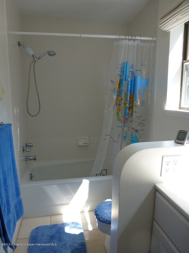 Master Bath Bathing Area