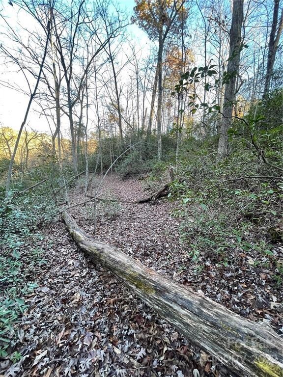 TBD Yates Ln unit 116, Lake Lure, NC 28746 - photo 5