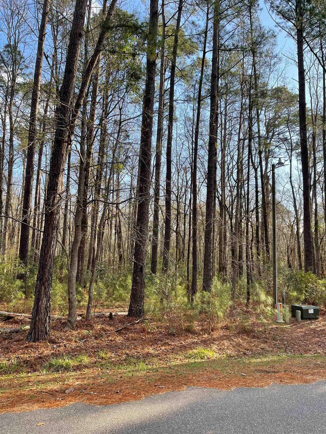 0 Maplewood Cir, Conway, SC 29526 - photo 4