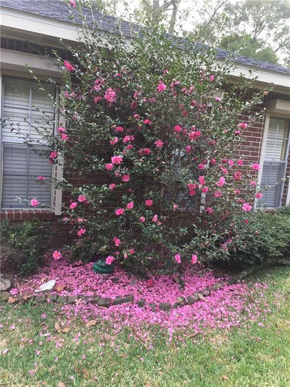 307 Clover Dr, Slidell, LA 70458 - photo 3