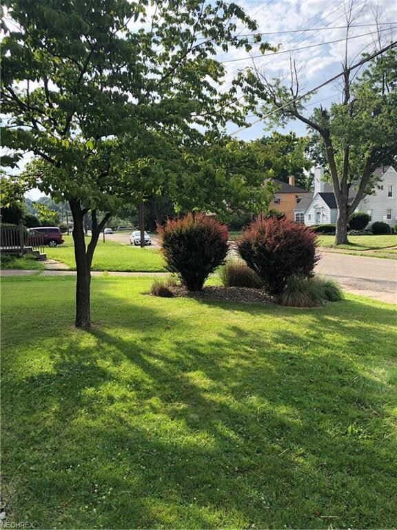 Front yard