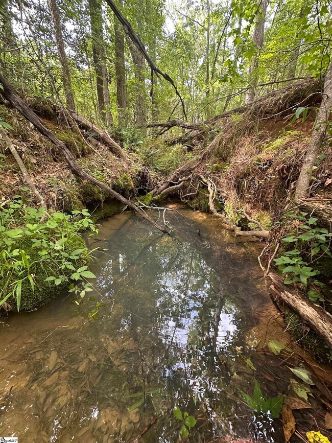00 Watt Rogers Rd unit Tract 2, Pelzer, SC 29669 - photo 3