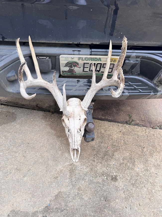 0 Alabama 41, Brewton, AL 36426 - photo 4