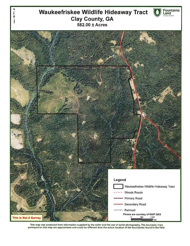 TBD Bethel Rd, Ft. Gaines, GA 39851 - photo 2